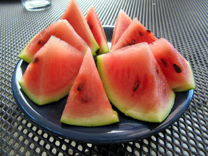 Unsere erste Wassermelone