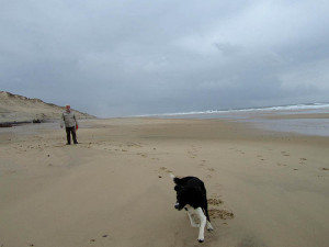 Am Meer