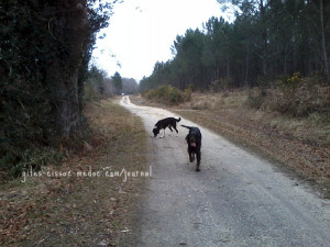 Gaston und Elliott