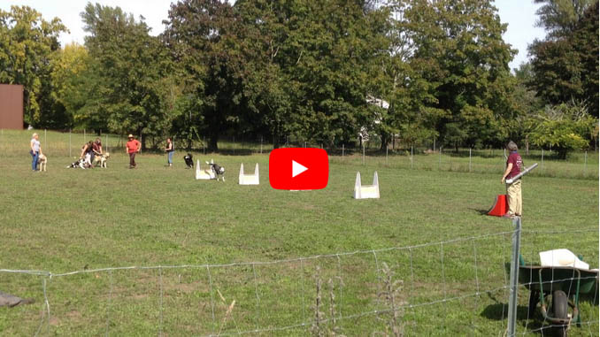 Film auf YouTube anschauen